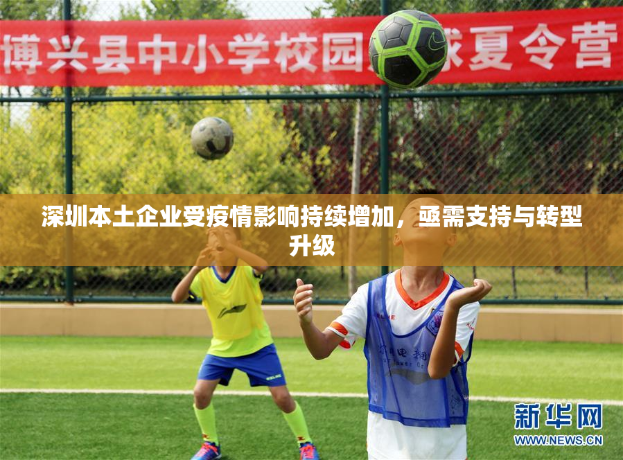 深圳本土企业受疫情影响持续增加，亟需支持与转型升级