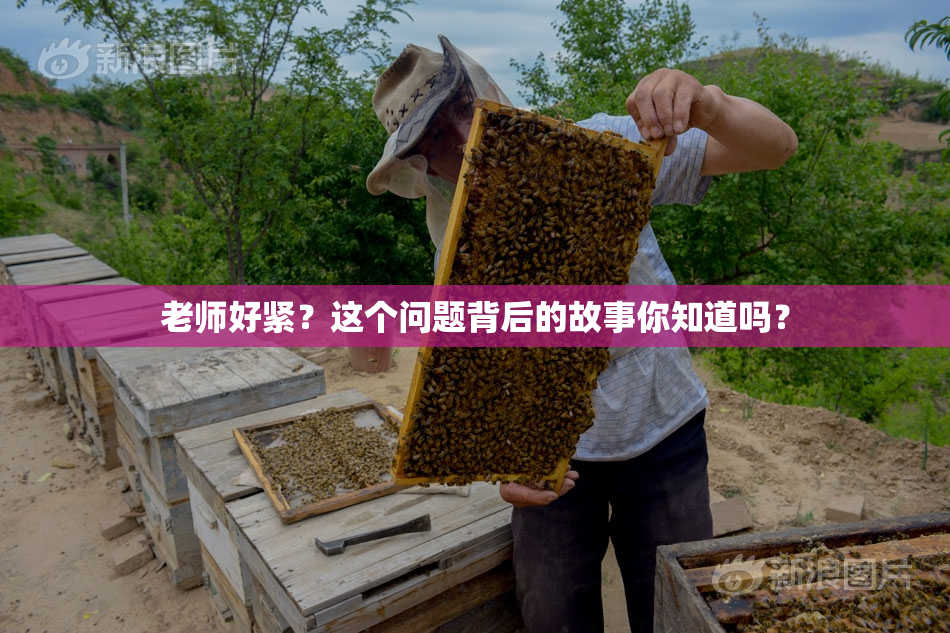 老师好紧？这个问题背后的故事你知道吗？