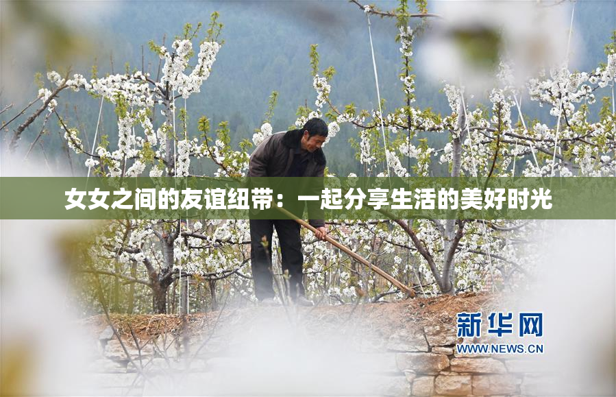 女女之间的友谊纽带：一起分享生活的美好时光