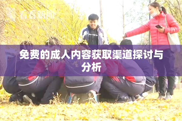 免费的成人内容获取渠道探讨与分析
