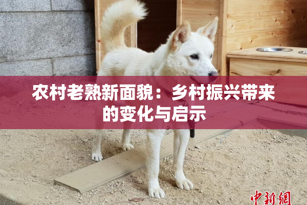农村老熟新面貌：乡村振兴带来的变化与启示