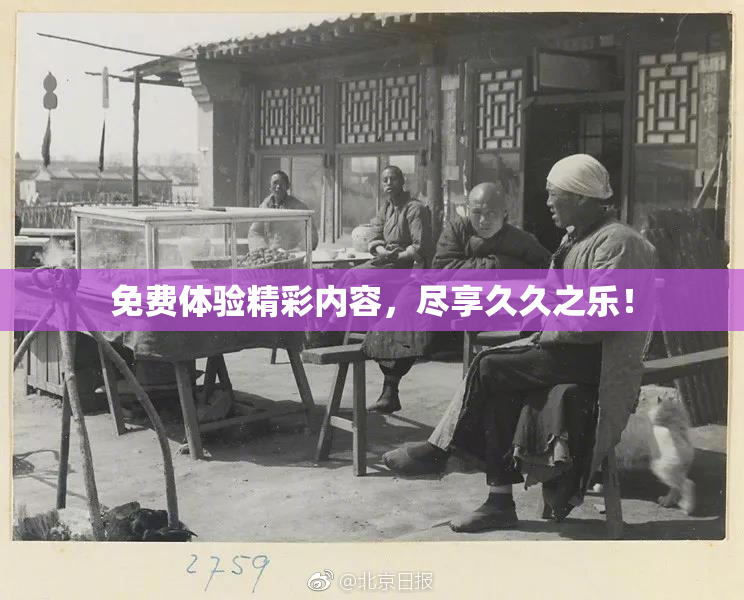 免费体验精彩内容，尽享久久之乐！