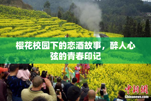 樱花校园下的恋酒故事，醉人心弦的青春印记