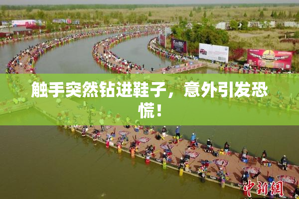 触手突然钻进鞋子，意外引发恐慌！