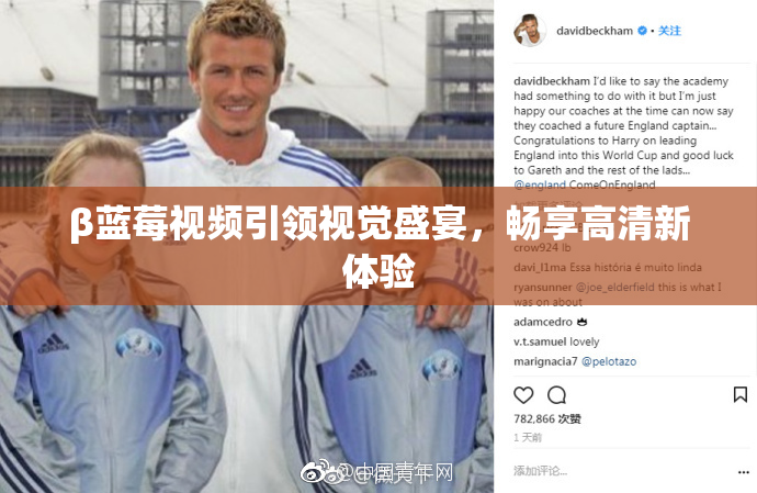 β蓝莓视频引领视觉盛宴，畅享高清新体验