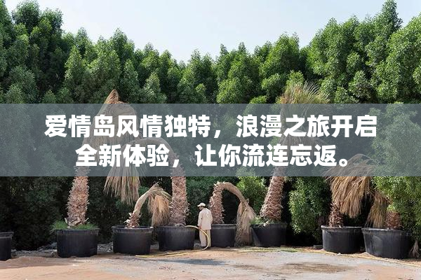 爱情岛风情独特，浪漫之旅开启全新体验，让你流连忘返。