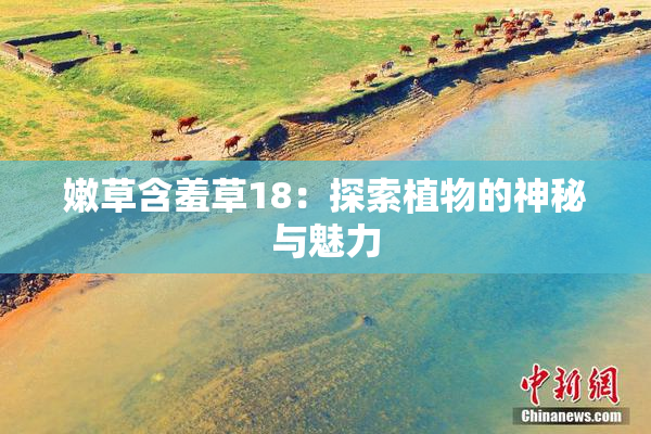 嫩草含羞草18：探索植物的神秘与魅力