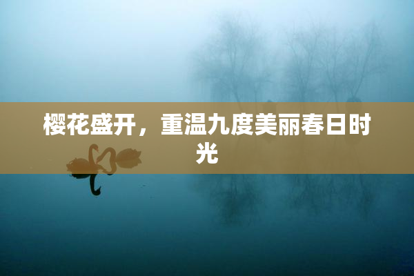 樱花盛开，重温九度美丽春日时光