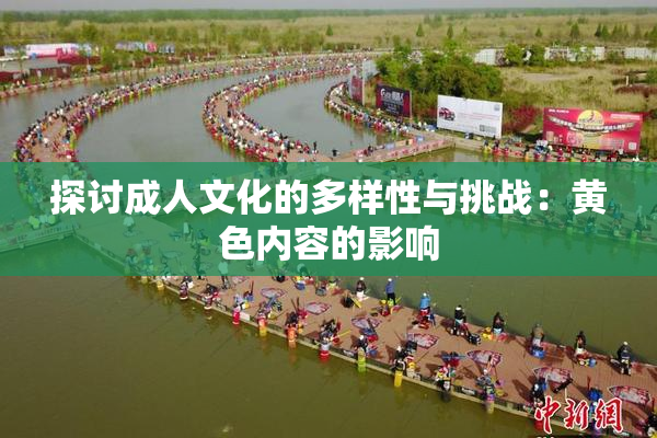 探讨成人文化的多样性与挑战：黄色内容的影响