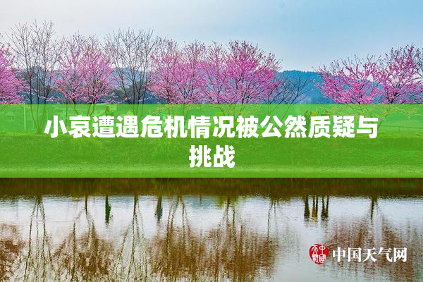 小哀遭遇危机情况被公然质疑与挑战