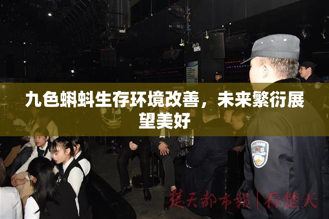 九色蝌蚪生存环境改善，未来繁衍展望美好