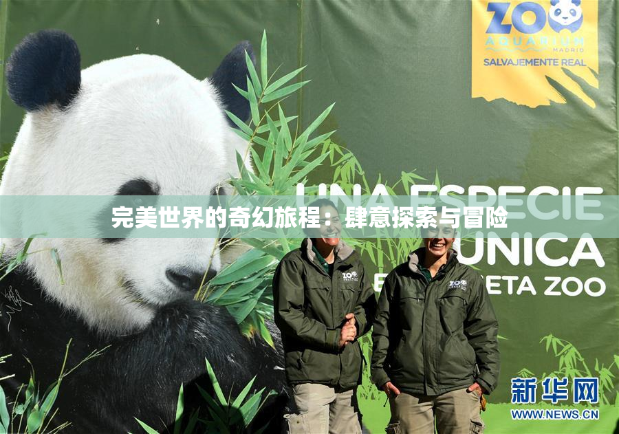 完美世界的奇幻旅程：肆意探索与冒险