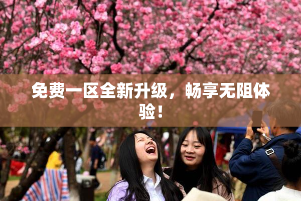 免费一区全新升级，畅享无阻体验！