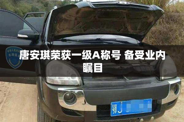 唐安琪荣获一级A称号 备受业内瞩目