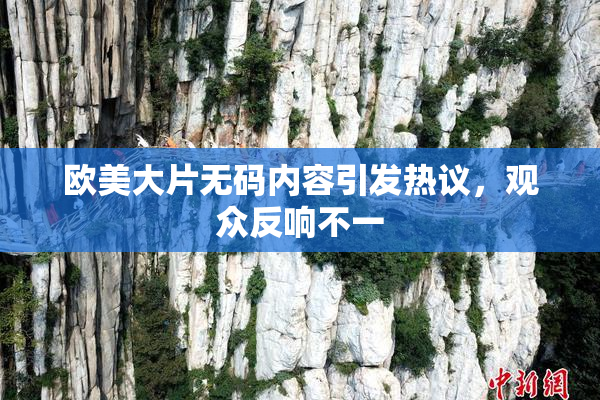 欧美大片无码内容引发热议，观众反响不一