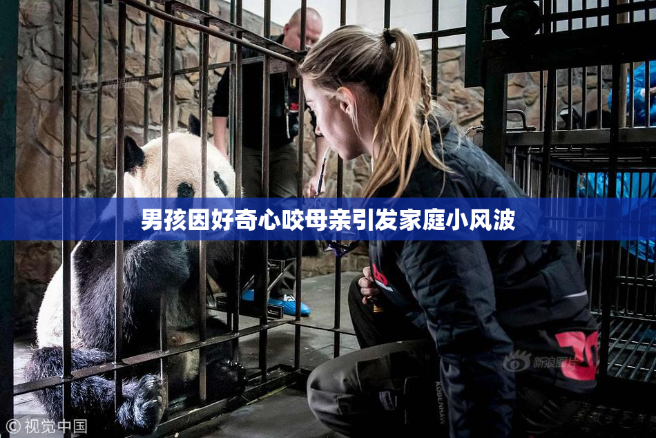 男孩因好奇心咬母亲引发家庭小风波