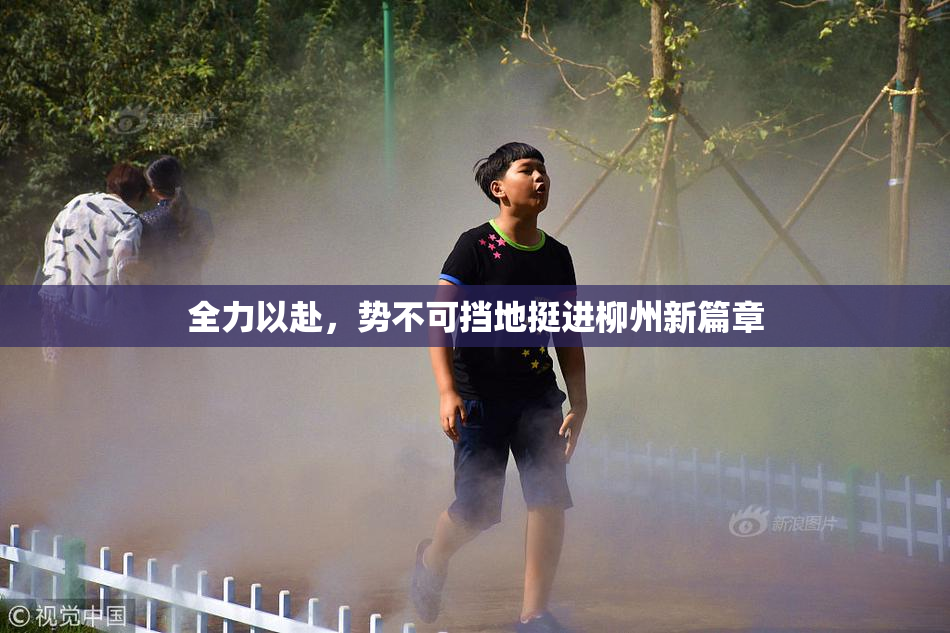 全力以赴，势不可挡地挺进柳州新篇章