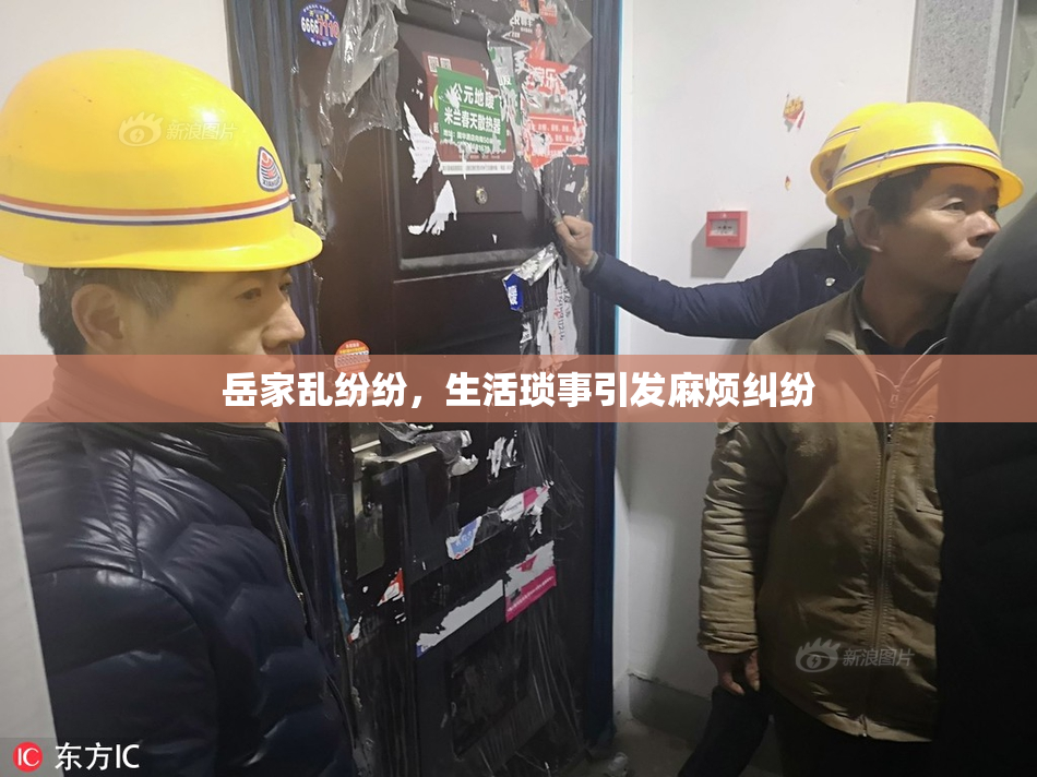 岳家乱纷纷，生活琐事引发麻烦纠纷