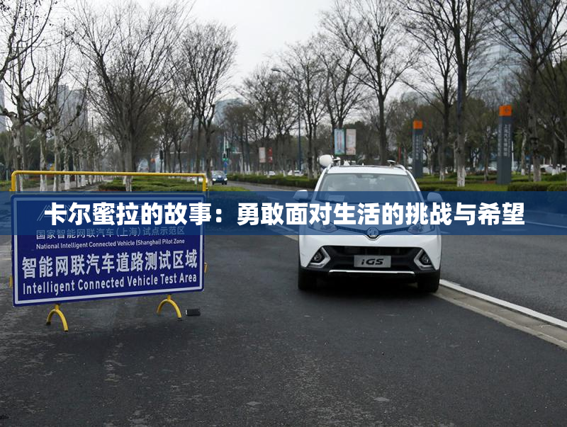 卡尔蜜拉的故事：勇敢面对生活的挑战与希望