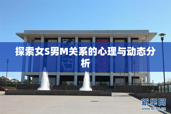 探索女S男M关系的心理与动态分析