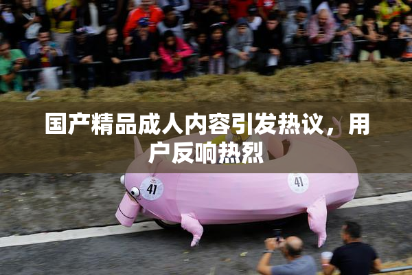 国产精品成人内容引发热议，用户反响热烈
