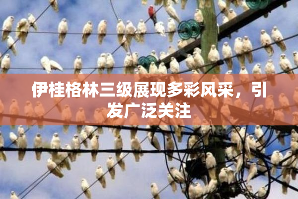 伊桂格林三级展现多彩风采，引发广泛关注