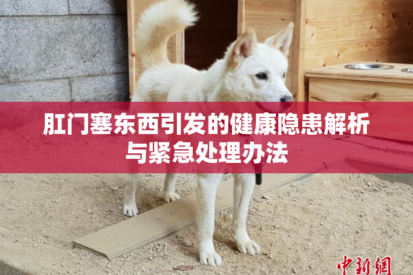 肛门塞东西引发的健康隐患解析与紧急处理办法