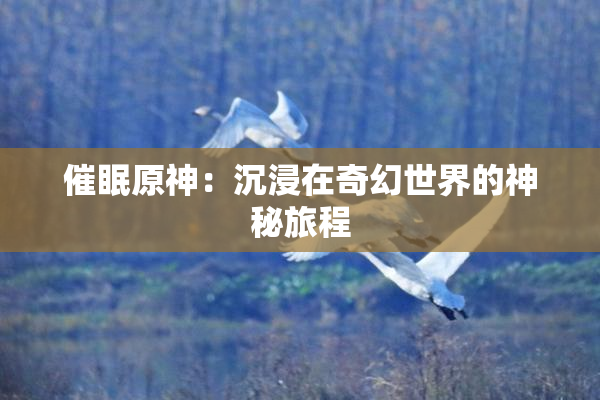 催眠原神：沉浸在奇幻世界的神秘旅程