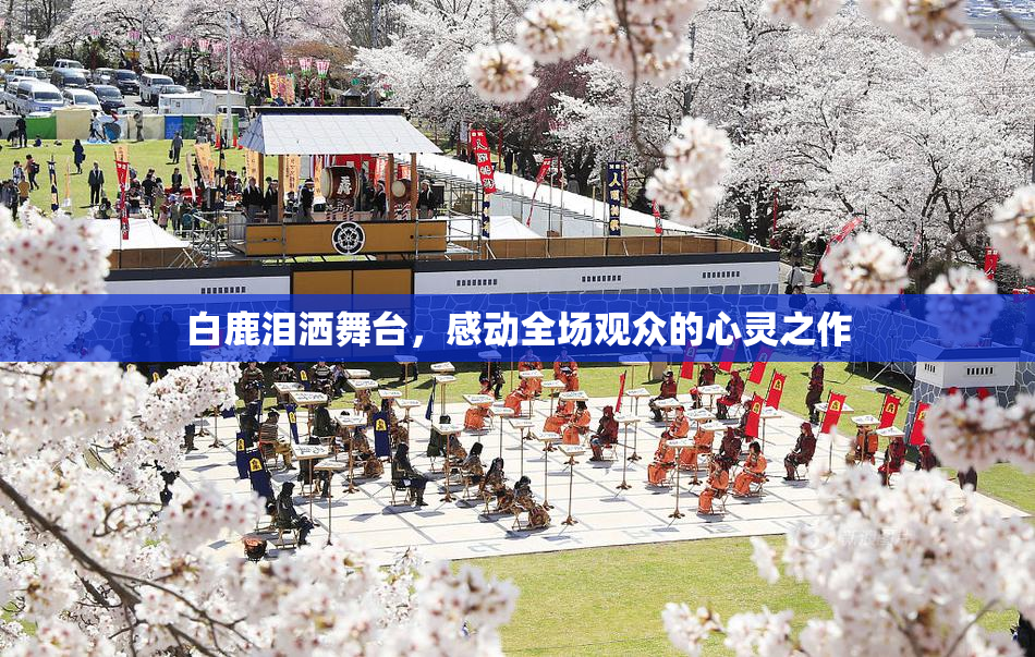 白鹿泪洒舞台，感动全场观众的心灵之作