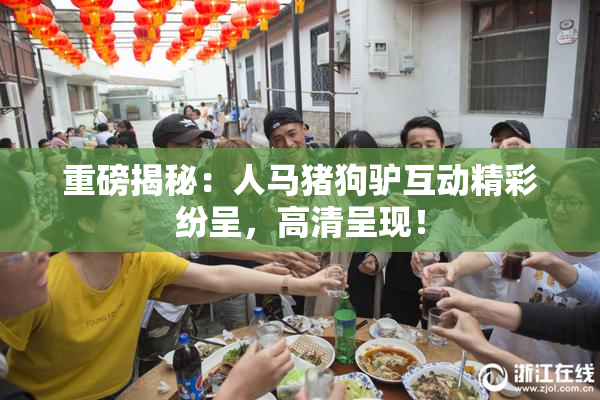 重磅揭秘：人马猪狗驴互动精彩纷呈，高清呈现！