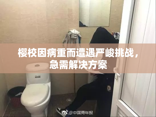 樱校因病重而遭遇严峻挑战，急需解决方案