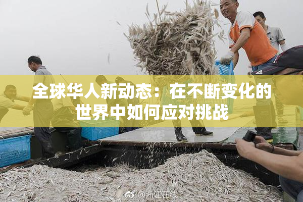 全球华人新动态：在不断变化的世界中如何应对挑战