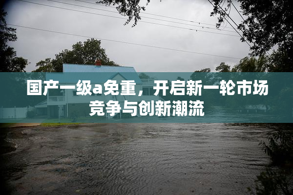 国产一级a免重，开启新一轮市场竞争与创新潮流