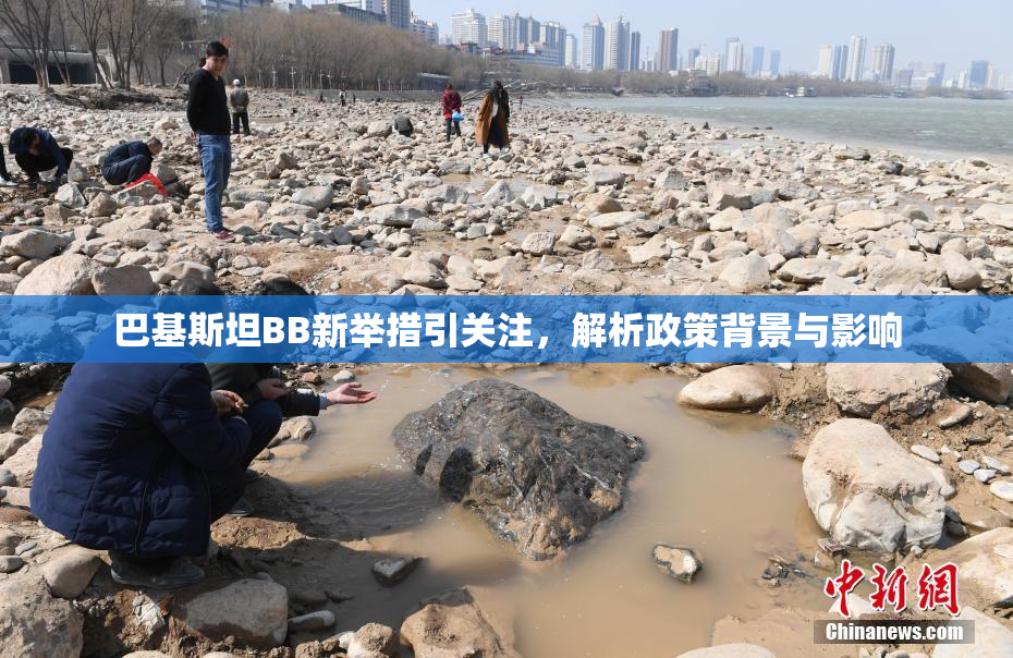巴基斯坦BB新举措引关注，解析政策背景与影响