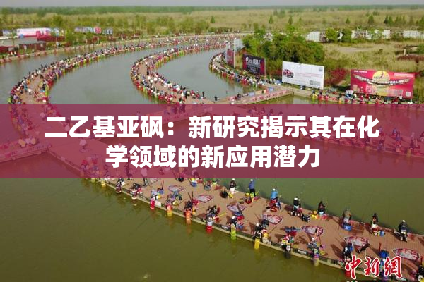 二乙基亚砜：新研究揭示其在化学领域的新应用潜力