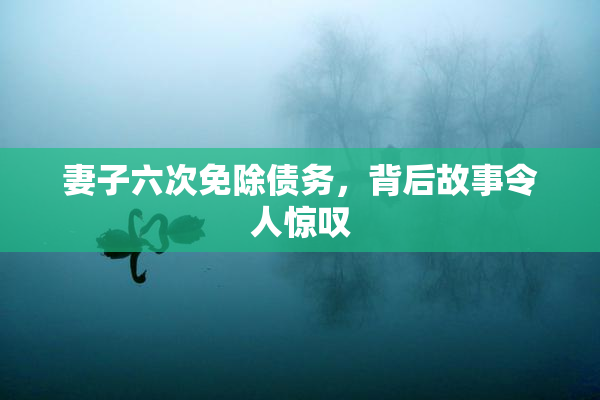 妻子六次免除债务，背后故事令人惊叹