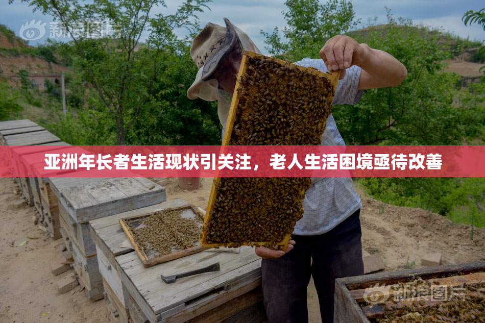 亚洲年长者生活现状引关注，老人生活困境亟待改善