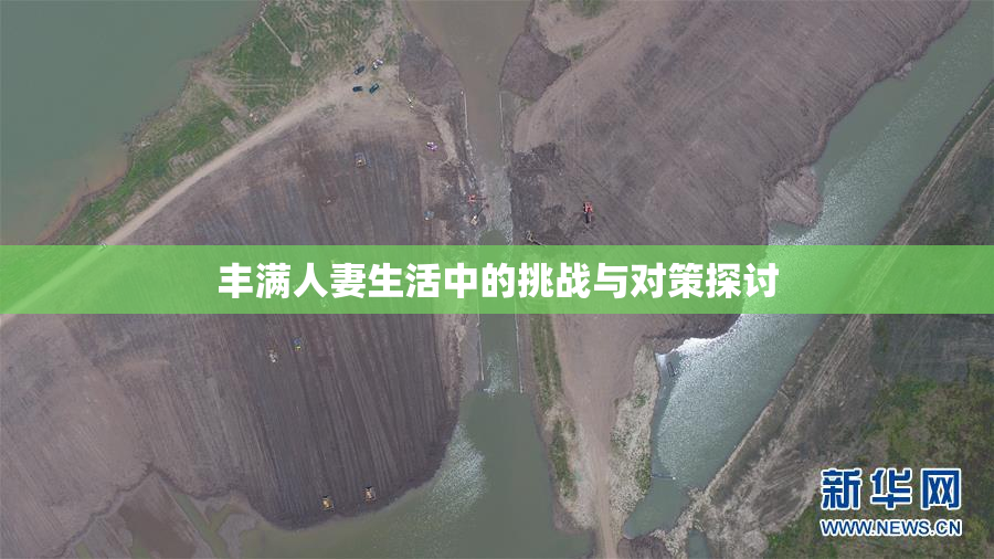 丰满人妻生活中的挑战与对策探讨