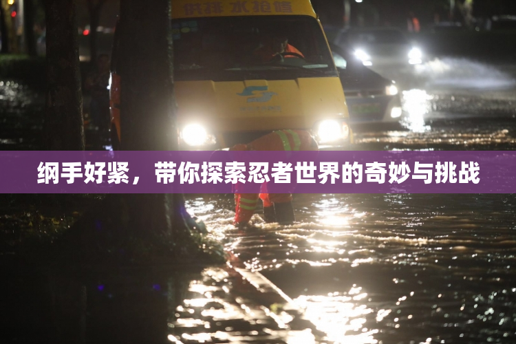 纲手好紧，带你探索忍者世界的奇妙与挑战