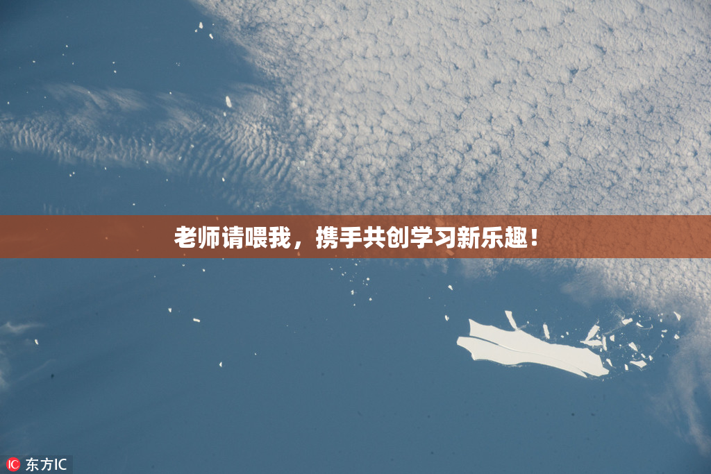 老师请喂我，携手共创学习新乐趣！