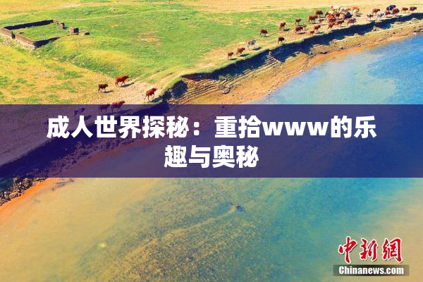 成人世界探秘：重拾www的乐趣与奥秘