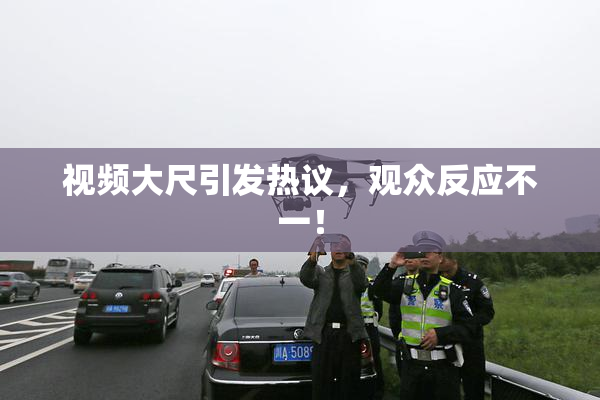 视频大尺引发热议，观众反应不一！