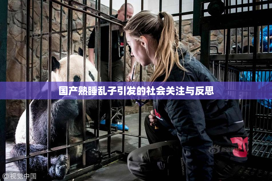 国产熟睡乱子引发的社会关注与反思