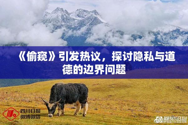 《偷窥》引发热议，探讨隐私与道德的边界问题
