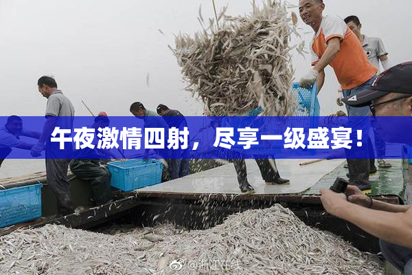 午夜激情四射，尽享一级盛宴！