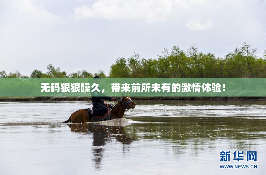 无码狠狠躁久，带来前所未有的激情体验！