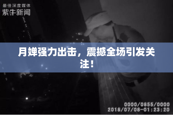 月婵强力出击，震撼全场引发关注！