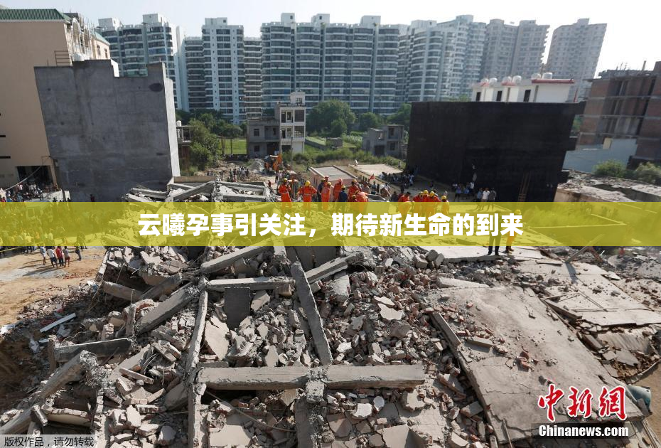 云曦孕事引关注，期待新生命的到来