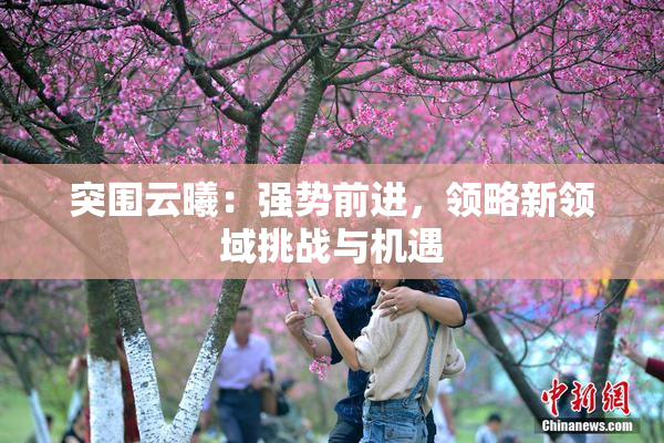 突围云曦：强势前进，领略新领域挑战与机遇