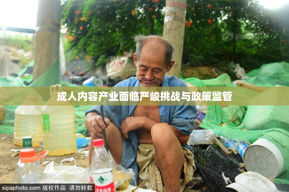 成人内容产业面临严峻挑战与政策监管